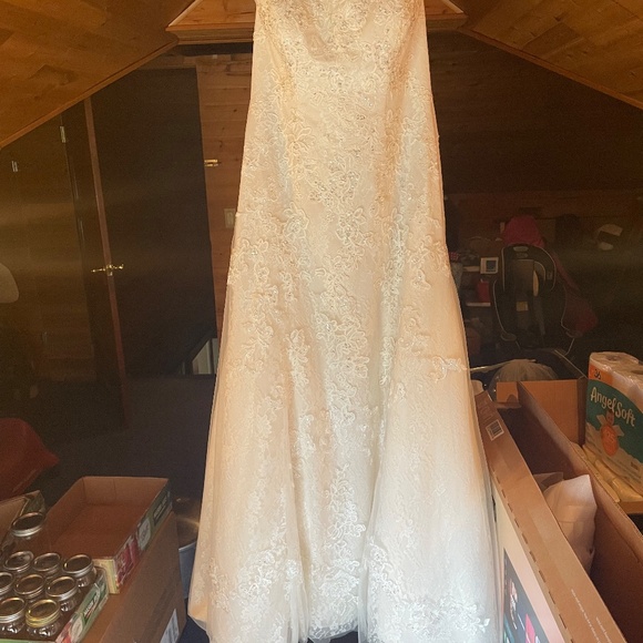Size 12 David’s Bridal Wedding Dress - Picture 5 of 8